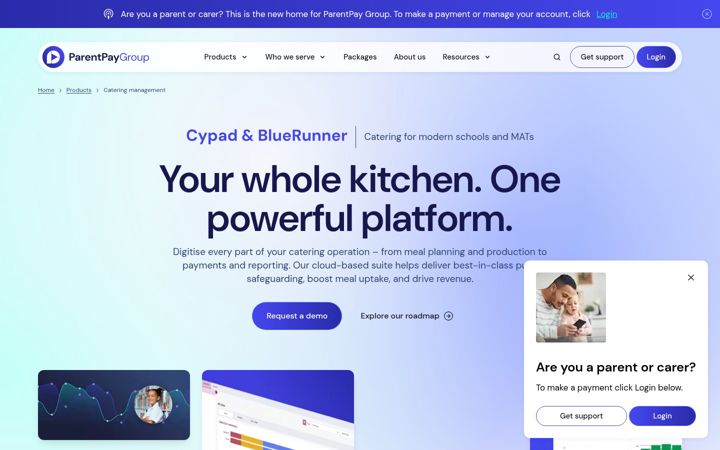 bluerunnersolutions.com