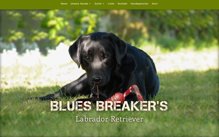 Screenshot of blues-breakers-labradors.de