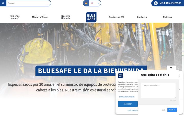 Screenshot of bluesafe.biz