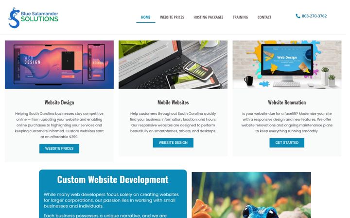 Screenshot of bluesalamandersolutions.com
