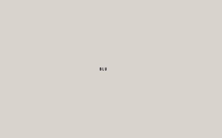 Screenshot of bluescope.de