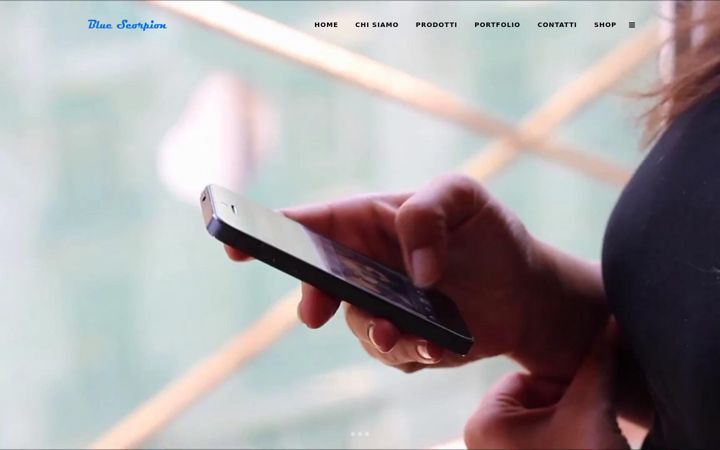 Screenshot of bluescorpion.it