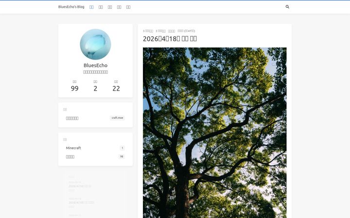 Screenshot of bluesecho.com