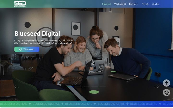 Screenshot of blueseed.tv