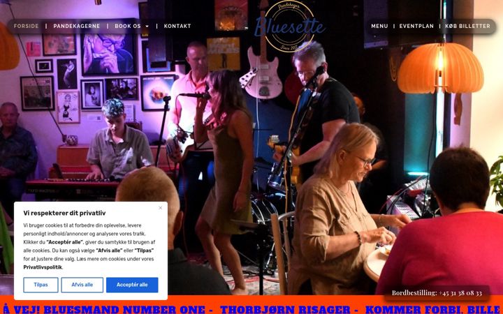 Screenshot of bluesette.dk