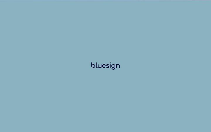 Screenshot of bluesign.com