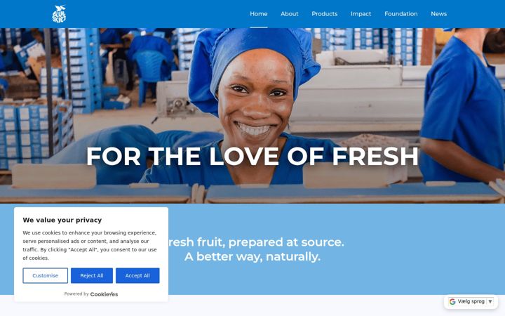 Screenshot of blueskies.com