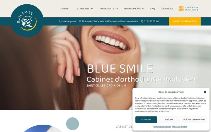 Screenshot of bluesmile.fr