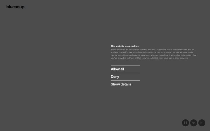 Screenshot ta' bluesoupagency.com