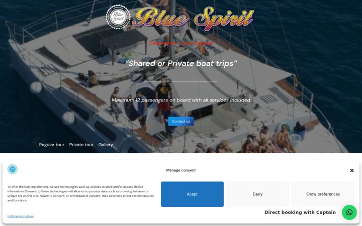 Screenshot of bluespiritcatamaran.com