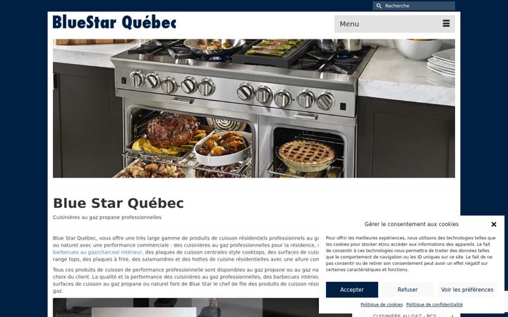Skärmbild av bluestarquebec.com