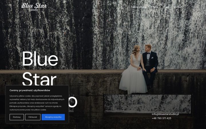 Kuvakaappaus sivustosta bluestarstudio.pl