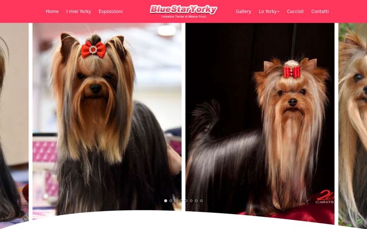 Skärmbild av bluestaryorky.com