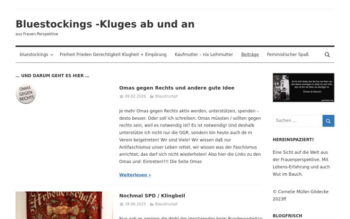 Screenshot van bluestockings.de