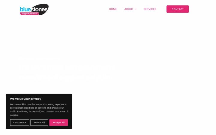 Screenshot of bluestonessupportpartners.co.uk