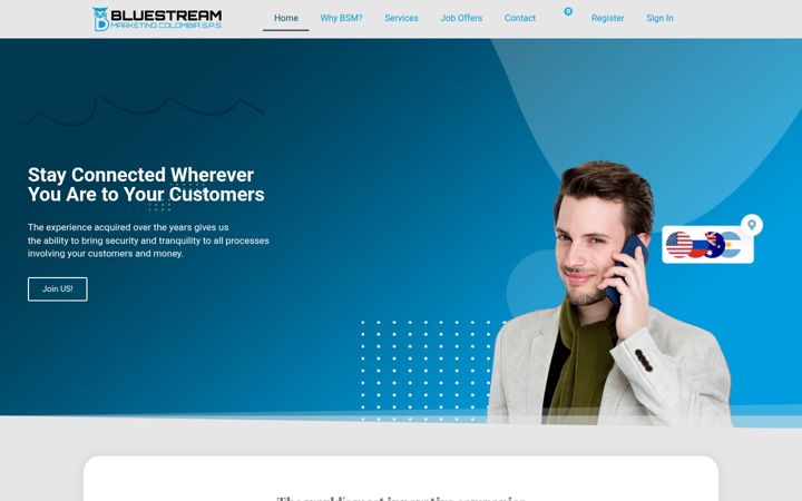 Screenshot of bluestreammarketing.com.co