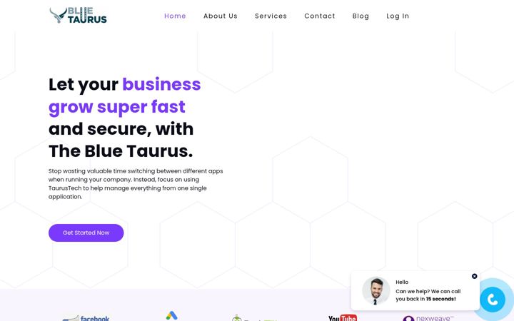 Screenshot of bluetaurusmarketing.com