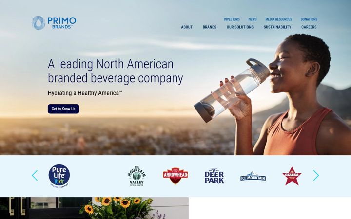 Screenshot of bluetriton.com
