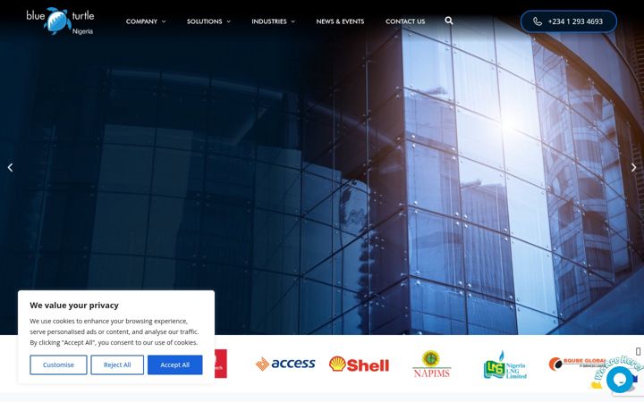 Captură de ecran a blueturtlenigeria.com