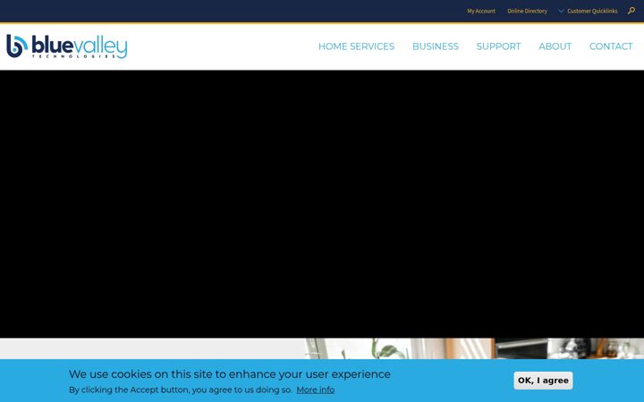 Screenshot of bluevalley.net