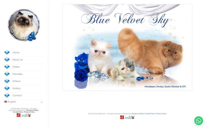 Screenshot of bluevelvetsky.com