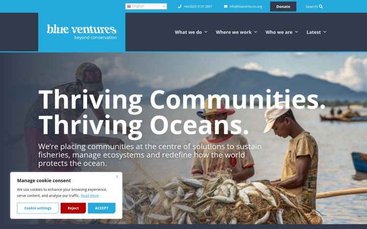 Screenshot of blueventures.org