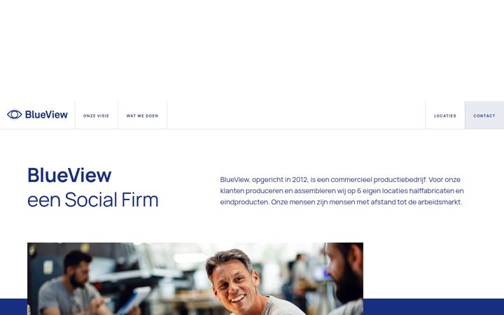 Screenshot of blueview.eu