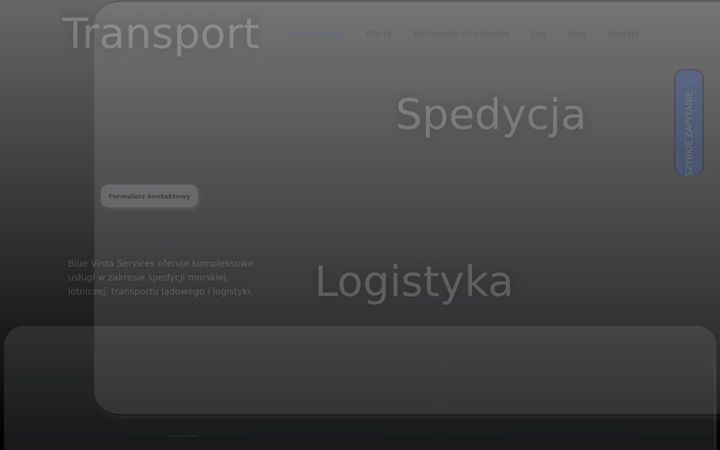 Screenshot of bluevinta.pl