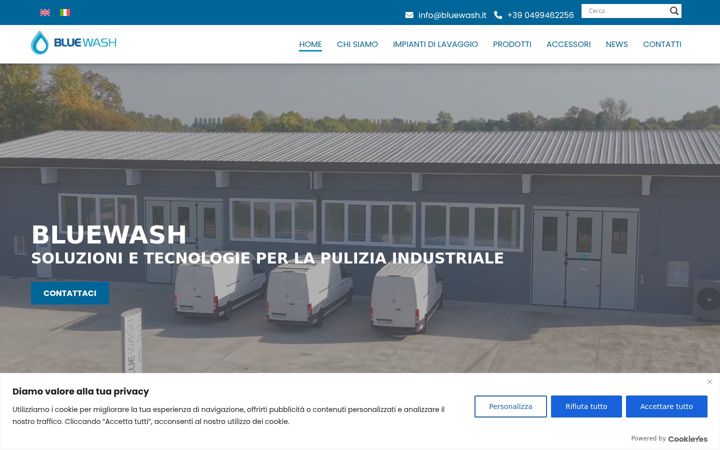 Zrzut ekranu bluewash.it