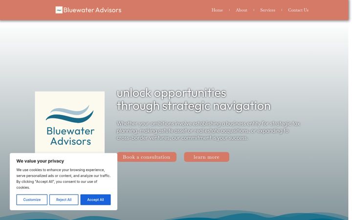 Screenshot of bluewateradvisors.io