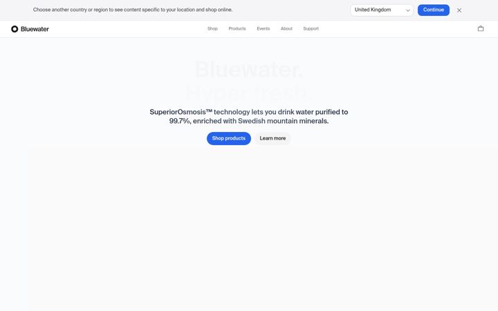 Snímek obrazovky bluewatergroup.com
