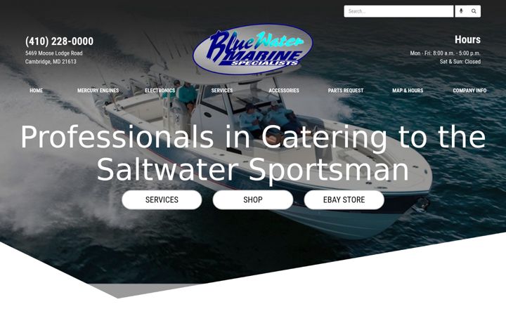 Snímek obrazovky bluewatermarinespecialists.com