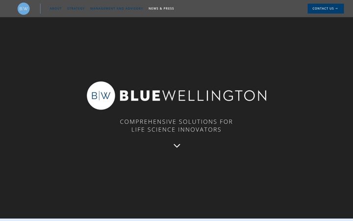 Screenshot του bluewellington.co