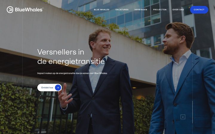 Screenshot of bluewhales.nl
