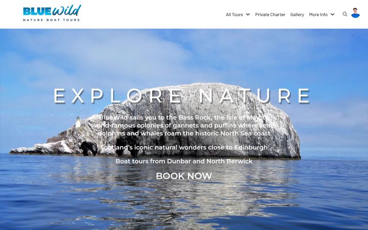 Screenshot of bluewild.co.uk