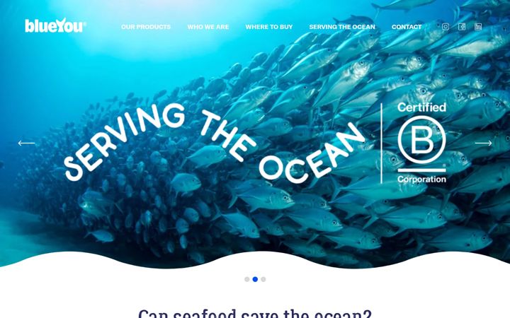 Screenshot of blueyou.com