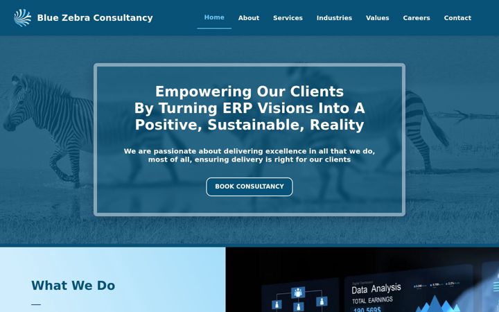 Screenshot of bluezebraconsultancy.co.uk