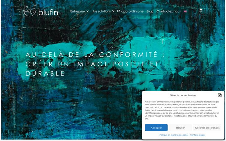 Screenshot of blufin.one