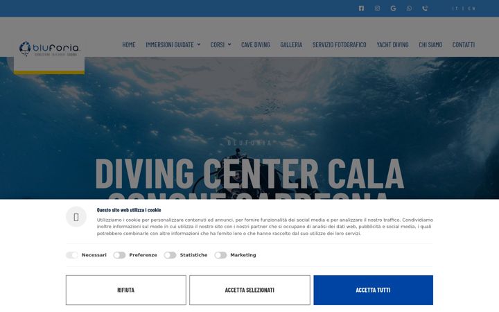 Snimka zaslona za bluforia.com