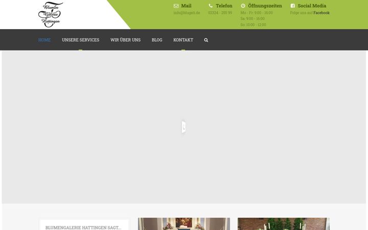 Screenshot of blugati.de