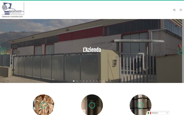 Screenshot of blukartsrl.it