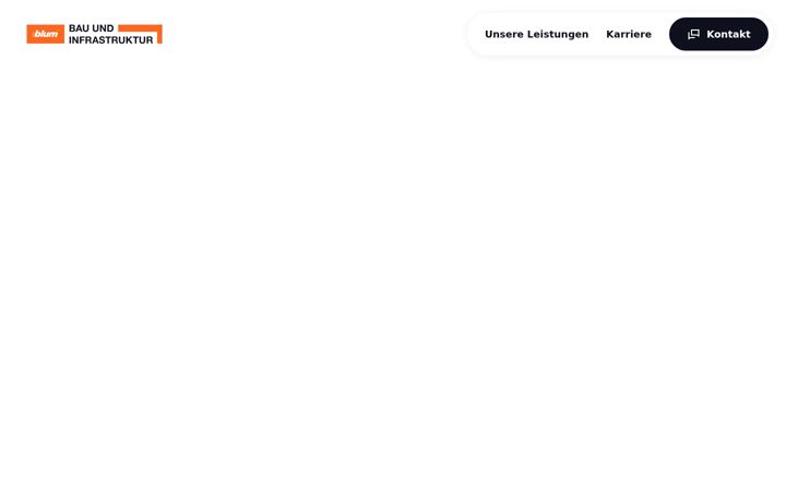 Screenshot of blum-bi.com