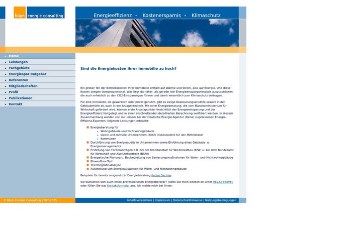 blum-energie-consulting.de