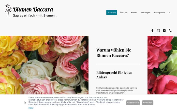 Screenshot of blumen-baccara.de