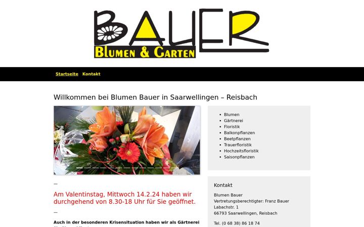 Captura de pantalla de blumen-bauer-reisbach.de