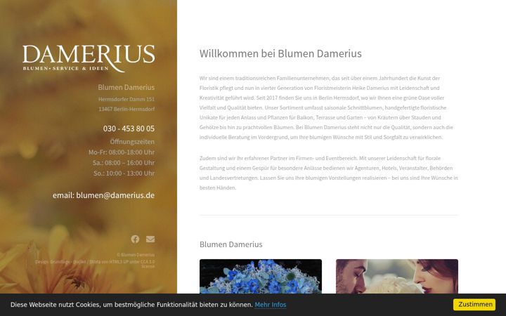 Captura de pantalla de blumen-damerius.de