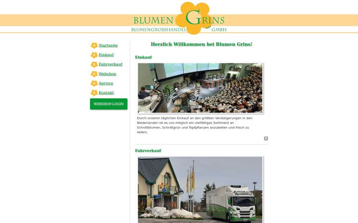 Screenshot of blumen-grins.de
