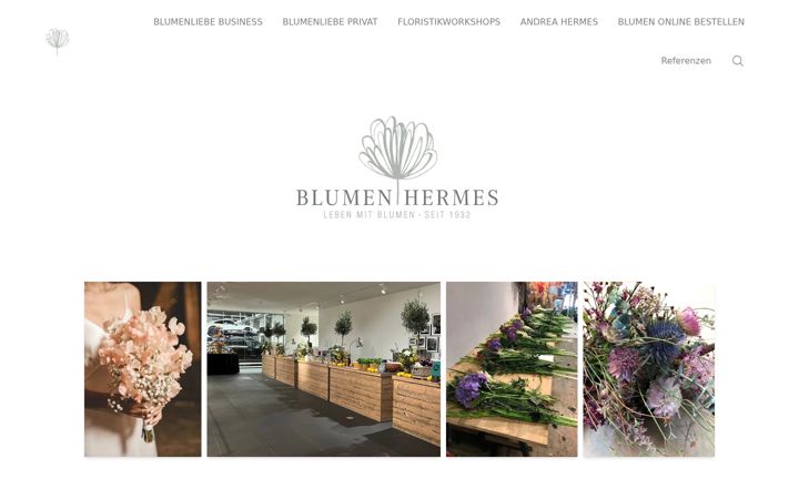 Screenshot of blumen-hermes.de