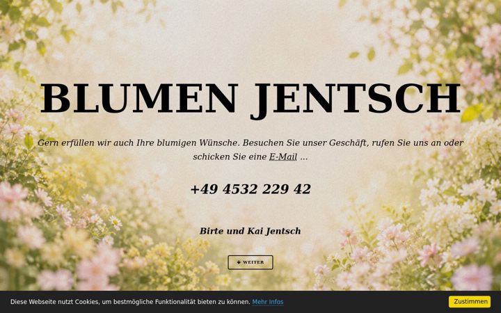 Screenshot of blumen-jentsch.de
