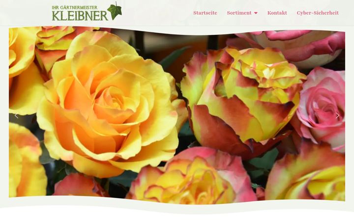 Screenshot του blumen-kleibner.at